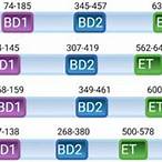 bet domains